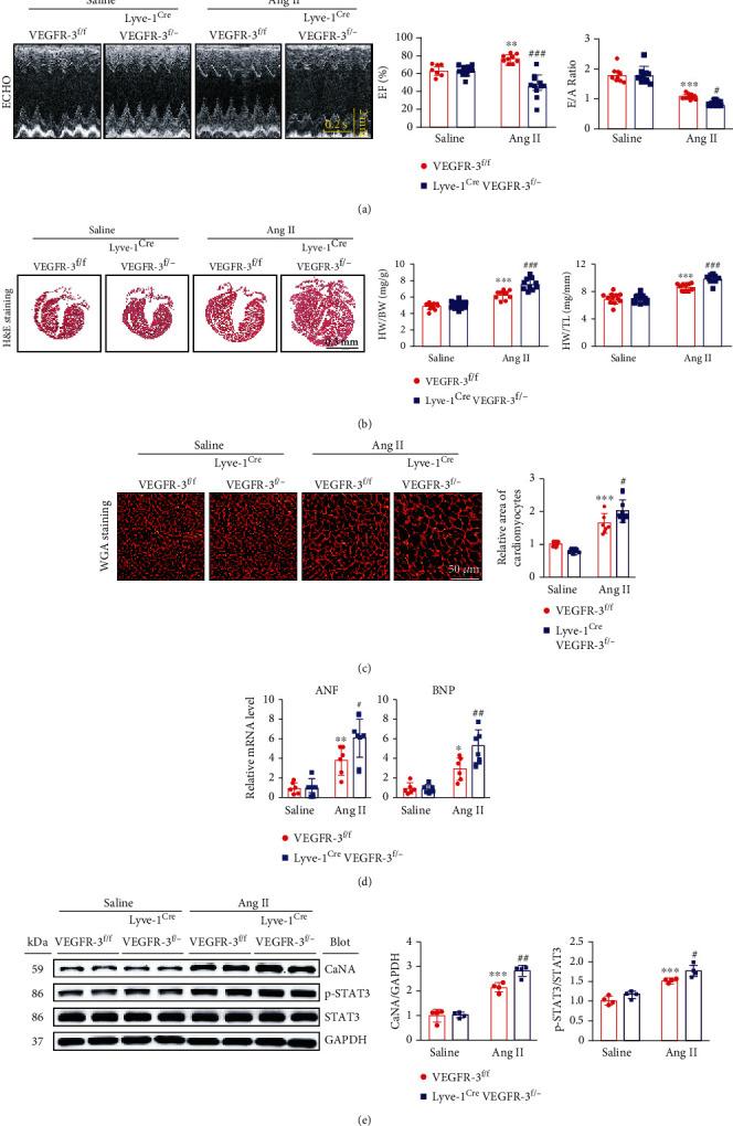 https://cdn.ncbi.nlm.nih.gov/pmc/blobs/4d18/8881141/bbfe89a2e8b3/OMCL2022-5044046.003.jpg