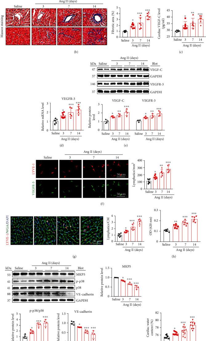 https://cdn.ncbi.nlm.nih.gov/pmc/blobs/4d18/8881141/f30af5fe0389/OMCL2022-5044046.001.jpg