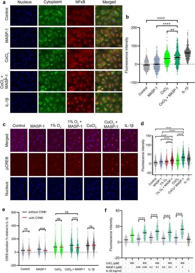 https://cdn.ncbi.nlm.nih.gov/pmc/blobs/4d19/11211410/46d2ce1ce8cb/41598_2024_64479_Fig6_HTML.jpg