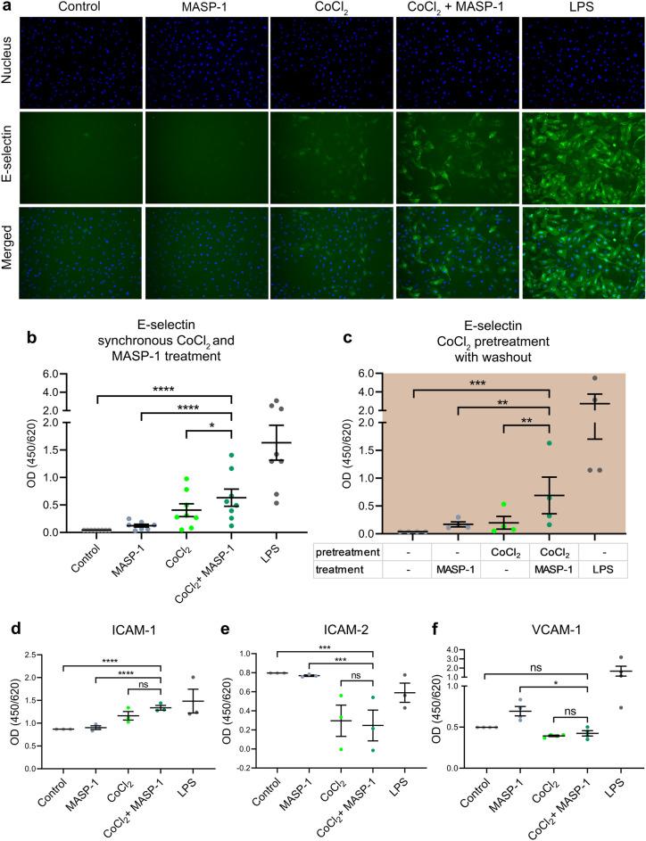 https://cdn.ncbi.nlm.nih.gov/pmc/blobs/4d19/11211410/c76d90d6488c/41598_2024_64479_Fig1_HTML.jpg
