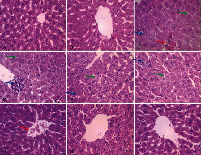 https://cdn.ncbi.nlm.nih.gov/pmc/blobs/4d1f/9385292/488e5cd22365/ECAM2022-4619064.004.jpg