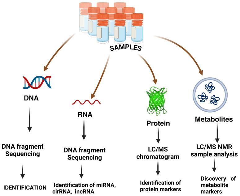 https://cdn.ncbi.nlm.nih.gov/pmc/blobs/4d21/11768644/1468435da279/pharmaceutics-17-00070-g007.jpg
