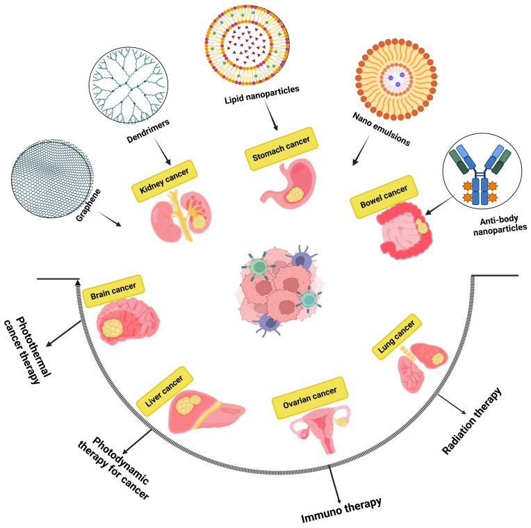 https://cdn.ncbi.nlm.nih.gov/pmc/blobs/4d21/11768644/f5677e4922f8/pharmaceutics-17-00070-g002.jpg