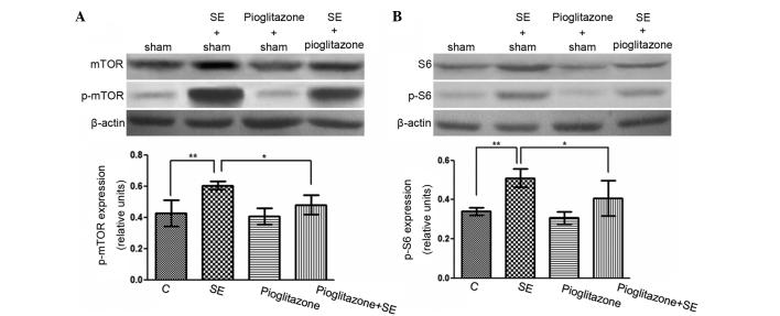 https://cdn.ncbi.nlm.nih.gov/pmc/blobs/4d21/4464309/27cea827b0b4/MMR-12-02-1877-g04.jpg