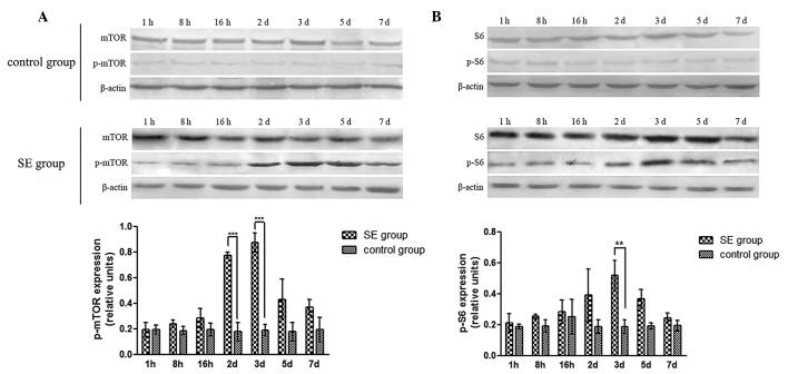 https://cdn.ncbi.nlm.nih.gov/pmc/blobs/4d21/4464309/708921f4f916/MMR-12-02-1877-g00.jpg