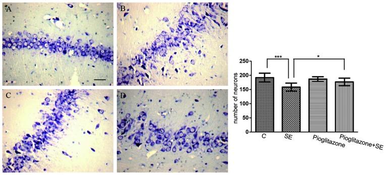 https://cdn.ncbi.nlm.nih.gov/pmc/blobs/4d21/4464309/df8c59879cb7/MMR-12-02-1877-g01.jpg