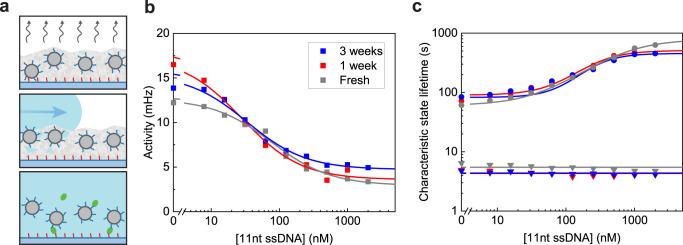 https://cdn.ncbi.nlm.nih.gov/pmc/blobs/4d23/9561105/1c35d7f21b55/41467_2022_33487_Fig6_HTML.jpg