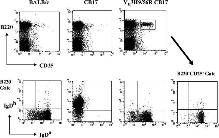 https://cdn.ncbi.nlm.nih.gov/pmc/blobs/4d24/2211795/d9f2869e514c/20031712f5.jpg