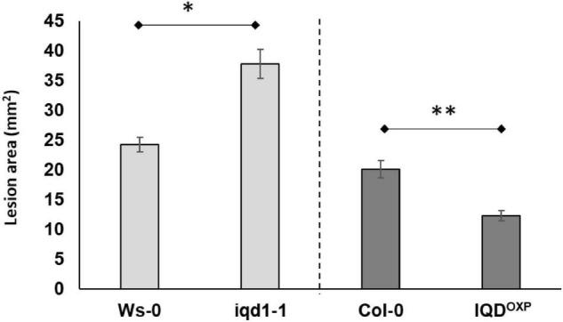https://cdn.ncbi.nlm.nih.gov/pmc/blobs/4d26/9087847/f125eafed0d9/fpls-13-845140-g001.jpg