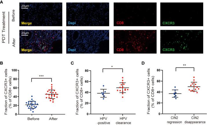 https://cdn.ncbi.nlm.nih.gov/pmc/blobs/4d27/10623119/c0fef8b58043/fimmu-14-1211114-g002.jpg