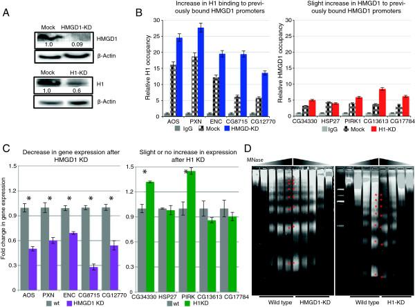 https://cdn.ncbi.nlm.nih.gov/pmc/blobs/4d27/3928079/be4285f3d4f3/1471-2164-15-92-8.jpg