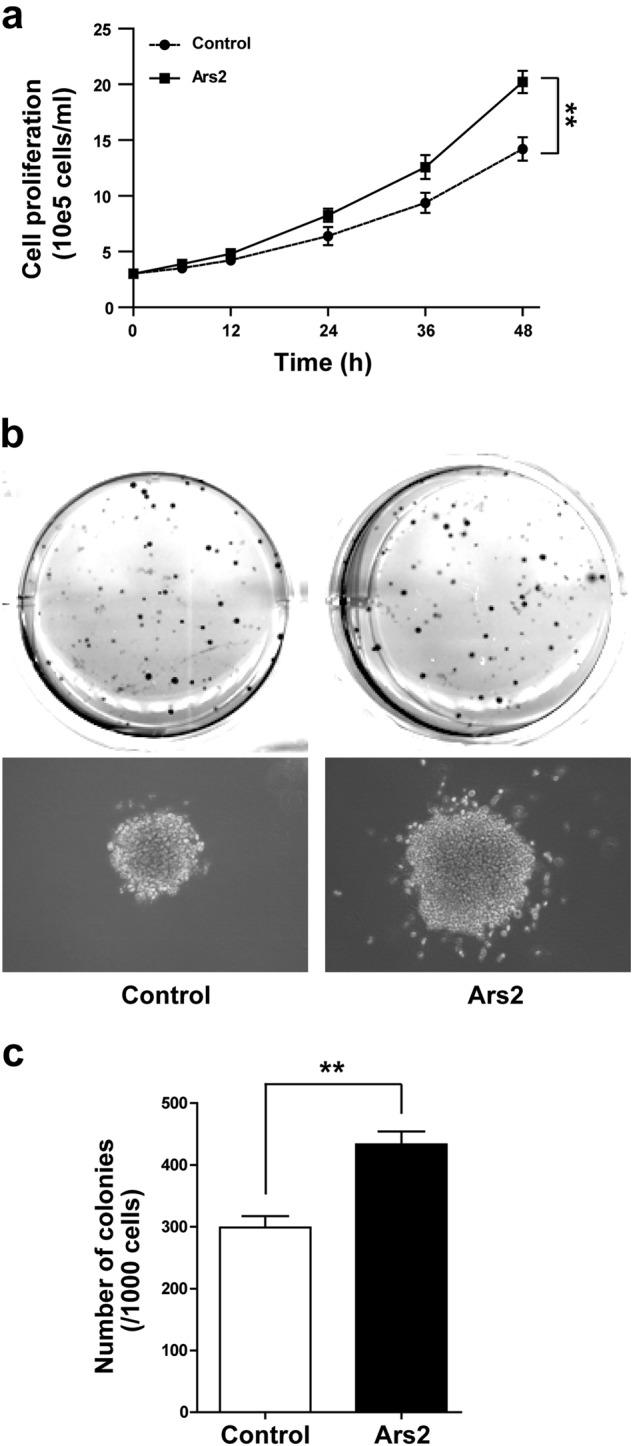 https://cdn.ncbi.nlm.nih.gov/pmc/blobs/4d29/6756072/294de98bbbde/41375_2018_301_Fig2_HTML.jpg