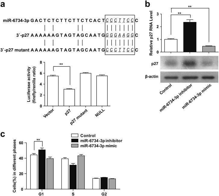 https://cdn.ncbi.nlm.nih.gov/pmc/blobs/4d29/6756072/4e9db30de3d4/41375_2018_301_Fig6_HTML.jpg
