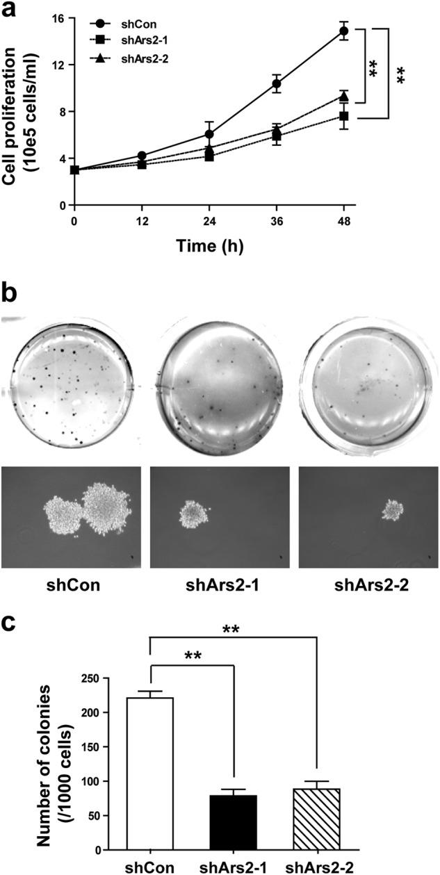 https://cdn.ncbi.nlm.nih.gov/pmc/blobs/4d29/6756072/6ad58ee51f3f/41375_2018_301_Fig3_HTML.jpg