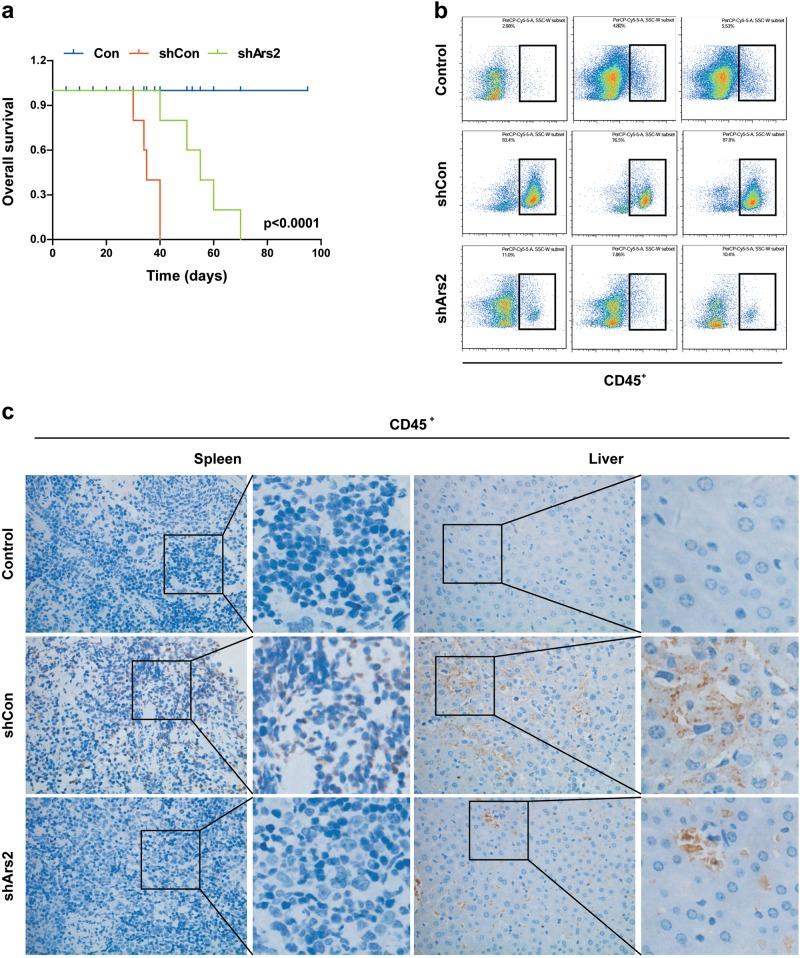https://cdn.ncbi.nlm.nih.gov/pmc/blobs/4d29/6756072/90abee95220f/41375_2018_301_Fig7_HTML.jpg
