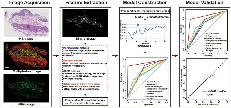 https://cdn.ncbi.nlm.nih.gov/pmc/blobs/4d29/9619829/b6d29f80e062/goac058f1.jpg
