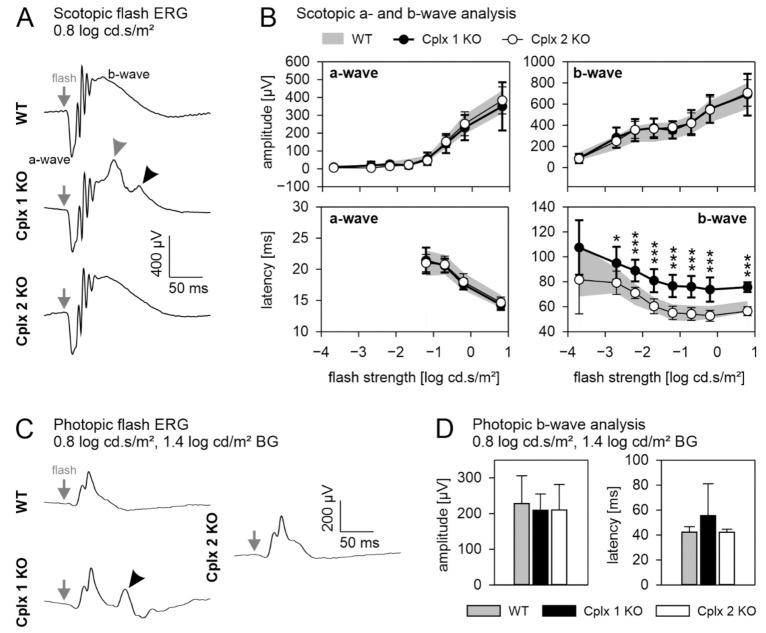 https://cdn.ncbi.nlm.nih.gov/pmc/blobs/4d2b/8348166/64f745879883/ijms-22-08131-g005.jpg