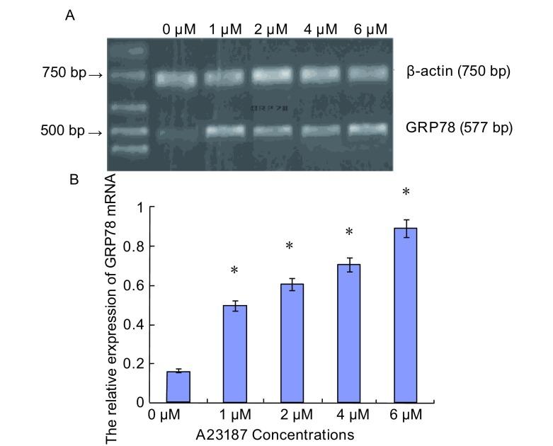 https://cdn.ncbi.nlm.nih.gov/pmc/blobs/4d2c/6000677/4bc57433c783/zgfazz-13-1-38-1.jpg