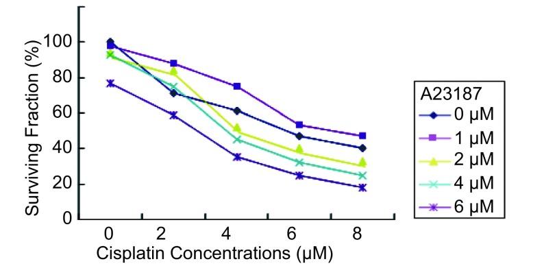 https://cdn.ncbi.nlm.nih.gov/pmc/blobs/4d2c/6000677/a9d4ee9d05de/zgfazz-13-1-38-3.jpg