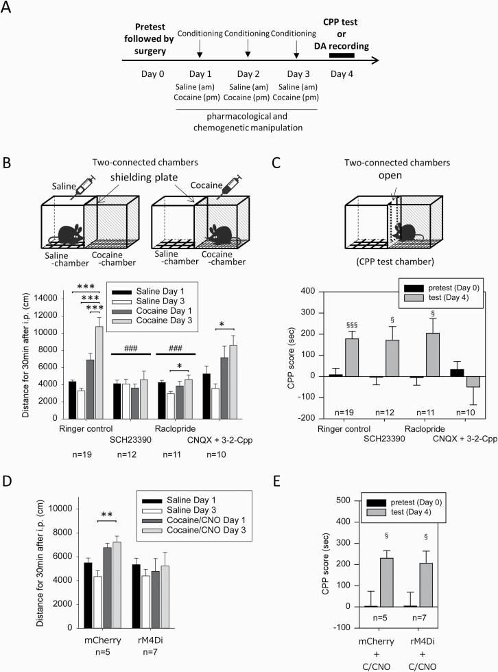https://cdn.ncbi.nlm.nih.gov/pmc/blobs/4d2d/8653875/9d6ff1159ae0/pyab067f0002.jpg