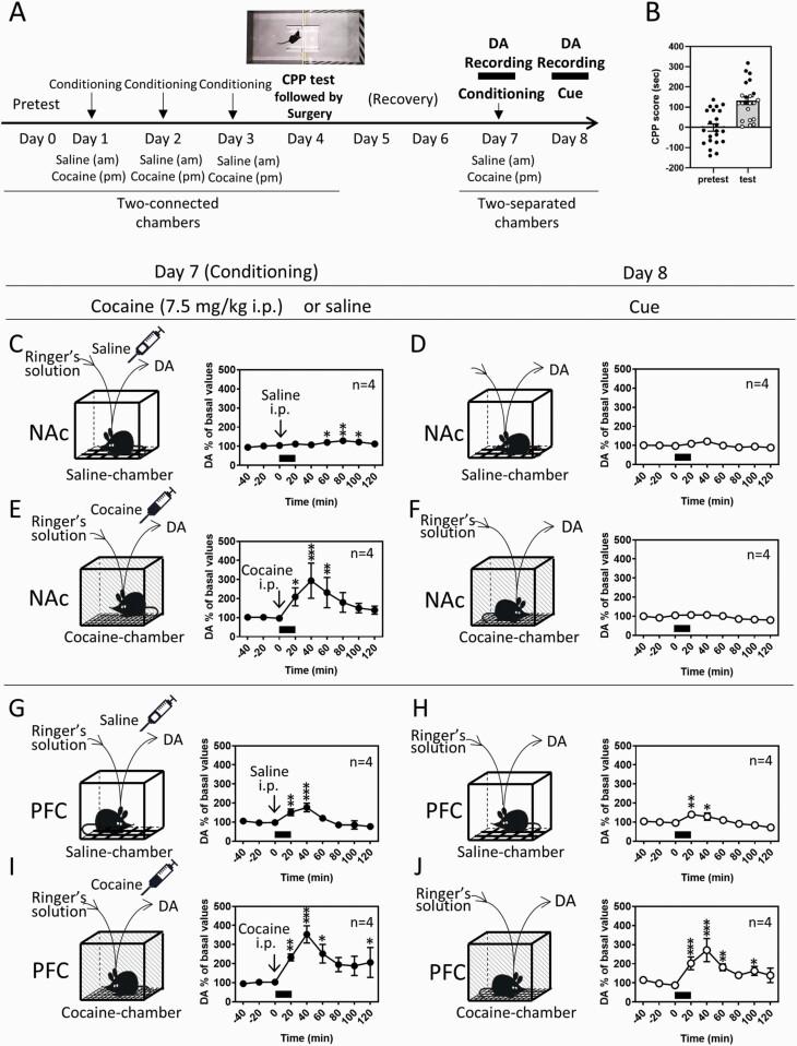 https://cdn.ncbi.nlm.nih.gov/pmc/blobs/4d2d/8653875/f5b516013480/pyab067f0001.jpg