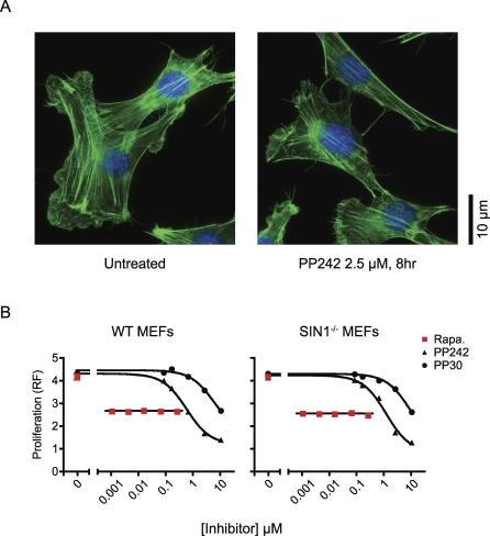 https://cdn.ncbi.nlm.nih.gov/pmc/blobs/4d2e/2652387/65b55f4c0009/pbio.1000038.g005.jpg