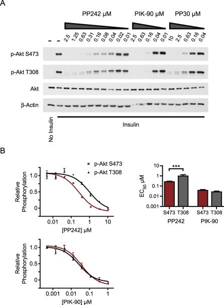 https://cdn.ncbi.nlm.nih.gov/pmc/blobs/4d2e/2652387/ae7948aa3c27/pbio.1000038.g002.jpg
