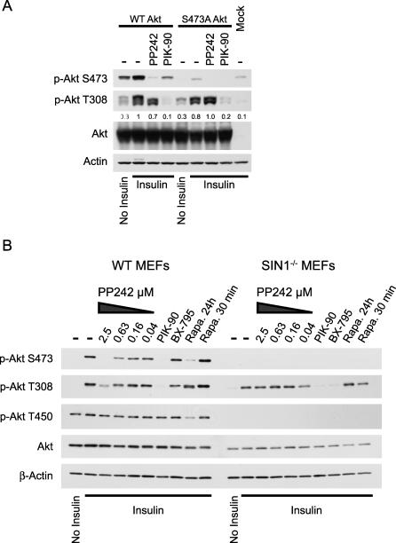 https://cdn.ncbi.nlm.nih.gov/pmc/blobs/4d2e/2652387/f67d3bf920d3/pbio.1000038.g003.jpg