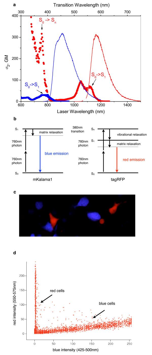https://cdn.ncbi.nlm.nih.gov/pmc/blobs/4d2f/2831818/c47e02c8bcb6/1472-6750-10-6-2.jpg