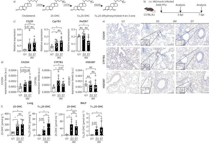 https://cdn.ncbi.nlm.nih.gov/pmc/blobs/4d2f/9686317/0d771ad1e347/ERJ-01306-2022.01.jpg