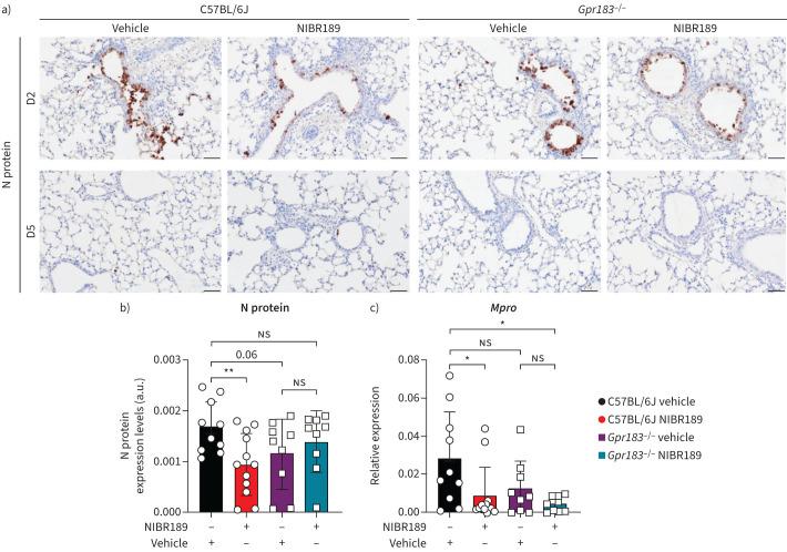 https://cdn.ncbi.nlm.nih.gov/pmc/blobs/4d2f/9686317/786c02c48f63/ERJ-01306-2022.07.jpg