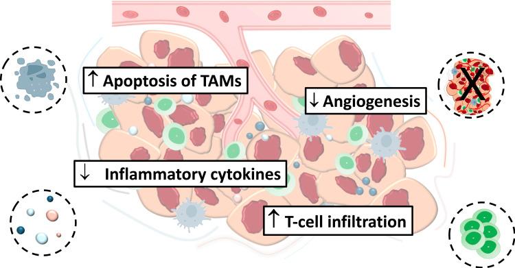 https://cdn.ncbi.nlm.nih.gov/pmc/blobs/4d30/11166157/6ddada8c44c4/DDDT-18-2021-g0001.jpg
