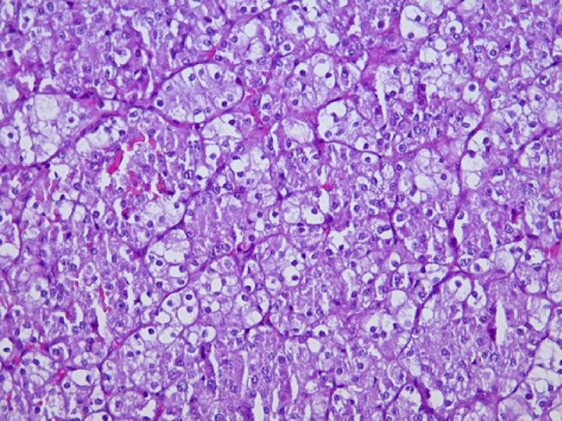 https://cdn.ncbi.nlm.nih.gov/pmc/blobs/4d32/8490858/944ec79d41ed/cro-0014-0963-g02.jpg
