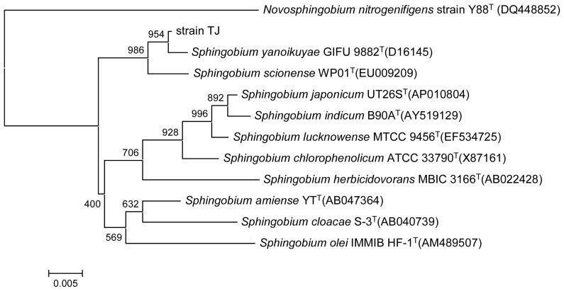 https://cdn.ncbi.nlm.nih.gov/pmc/blobs/4d33/3876093/1f4c0dd08524/ijms-14-24046f2.jpg