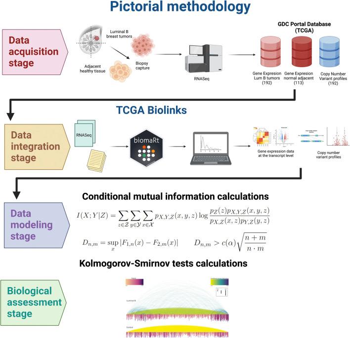 https://cdn.ncbi.nlm.nih.gov/pmc/blobs/4d33/9010943/c976db6db06e/fgene-13-806607-g001.jpg