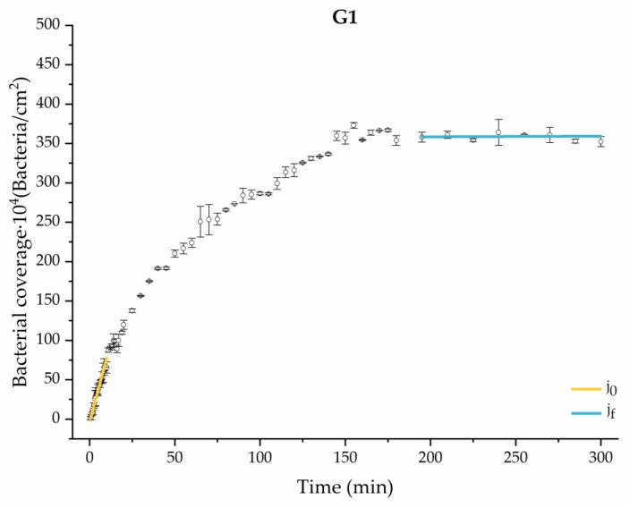 https://cdn.ncbi.nlm.nih.gov/pmc/blobs/4d34/11243244/c917c0f97593/materials-17-03349-g005.jpg