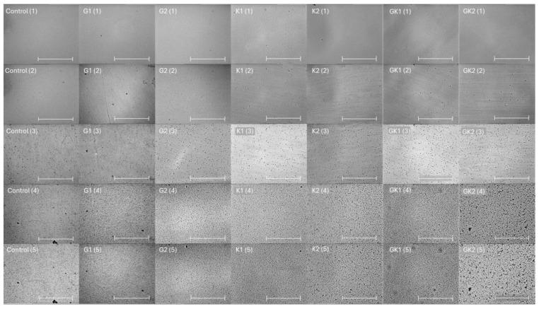 https://cdn.ncbi.nlm.nih.gov/pmc/blobs/4d34/11243244/f7c12721613f/materials-17-03349-g001.jpg