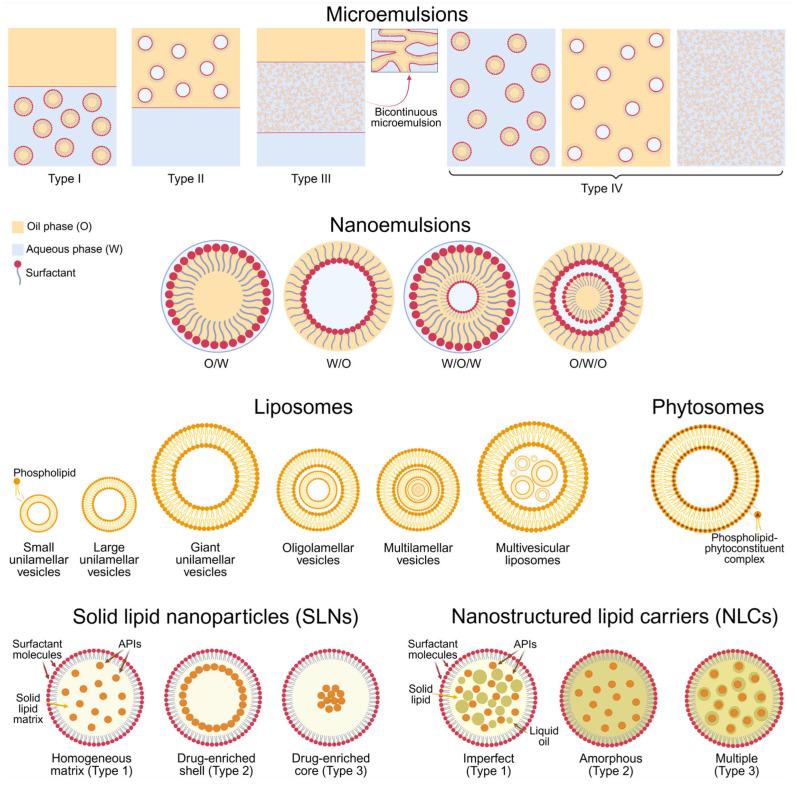 https://cdn.ncbi.nlm.nih.gov/pmc/blobs/4d34/12389627/240f8971d0bb/pharmaceutics-17-00985-g003.jpg