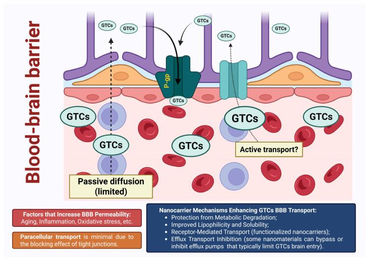 https://cdn.ncbi.nlm.nih.gov/pmc/blobs/4d34/12389627/d77e1f8a3a8f/pharmaceutics-17-00985-g002.jpg