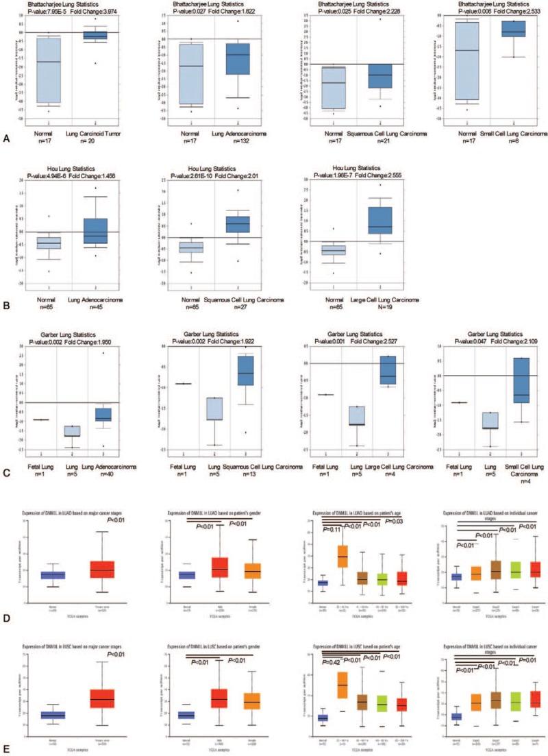 https://cdn.ncbi.nlm.nih.gov/pmc/blobs/4d34/6890372/07747f87649f/medi-98-e18228-g003.jpg
