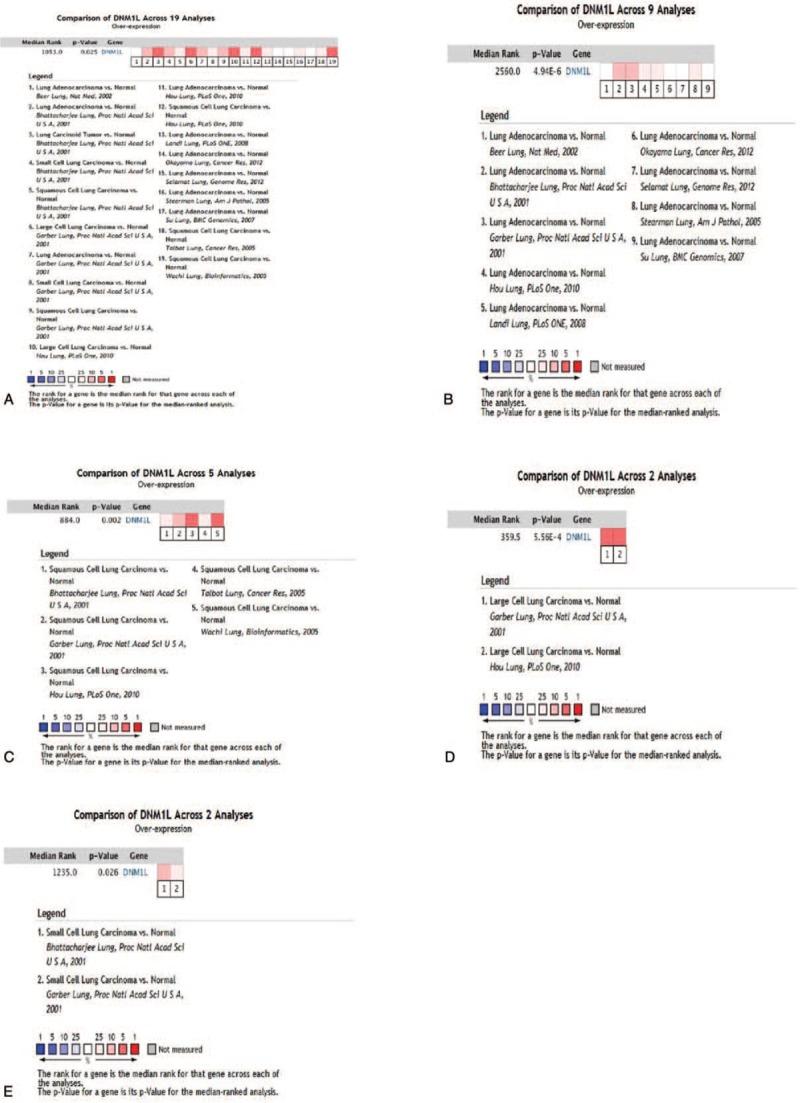 https://cdn.ncbi.nlm.nih.gov/pmc/blobs/4d34/6890372/921473b2967d/medi-98-e18228-g002.jpg