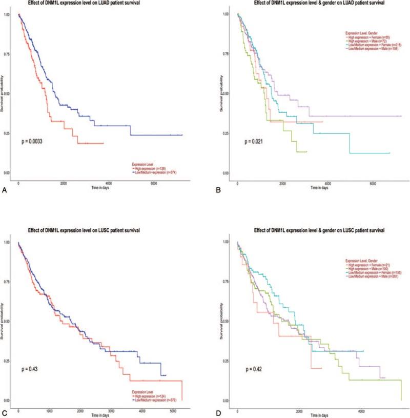 https://cdn.ncbi.nlm.nih.gov/pmc/blobs/4d34/6890372/df7e4388ef2c/medi-98-e18228-g006.jpg