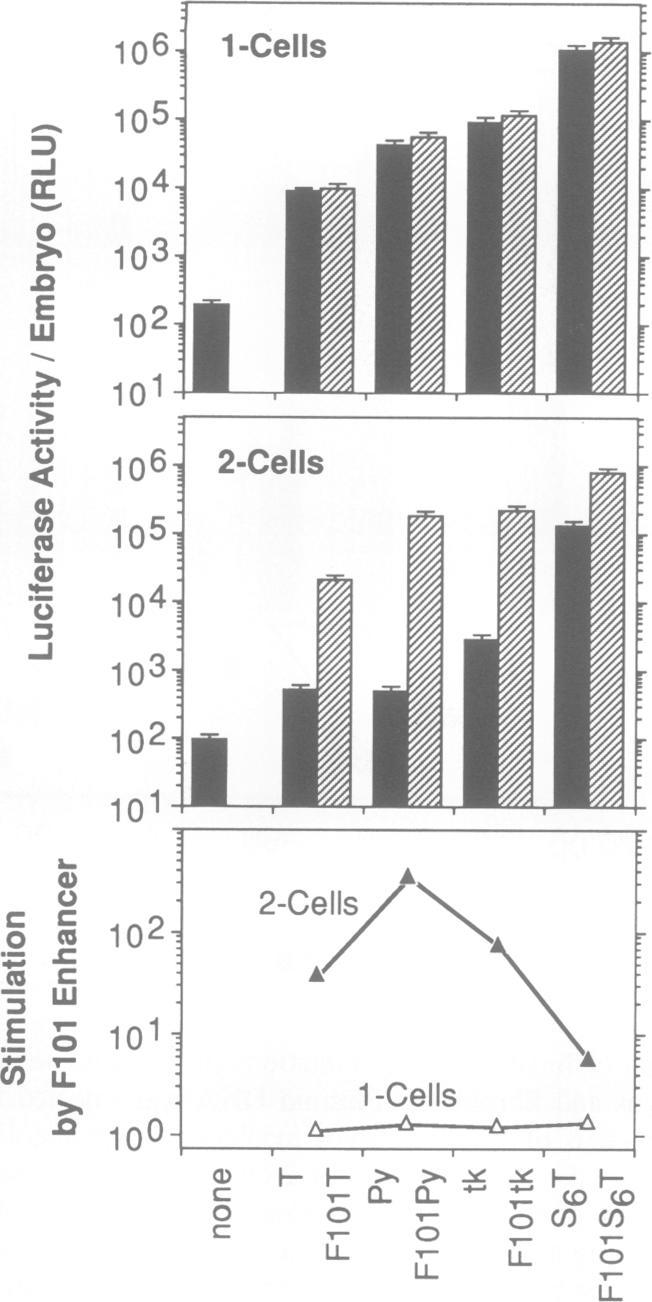 https://cdn.ncbi.nlm.nih.gov/pmc/blobs/4d37/413314/741d1e4ff568/emboj00075-0323-a.jpg