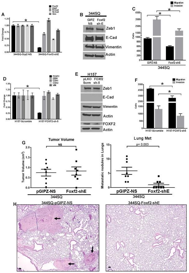 https://cdn.ncbi.nlm.nih.gov/pmc/blobs/4d39/4580489/d2f24053a945/nihms660792f4.jpg