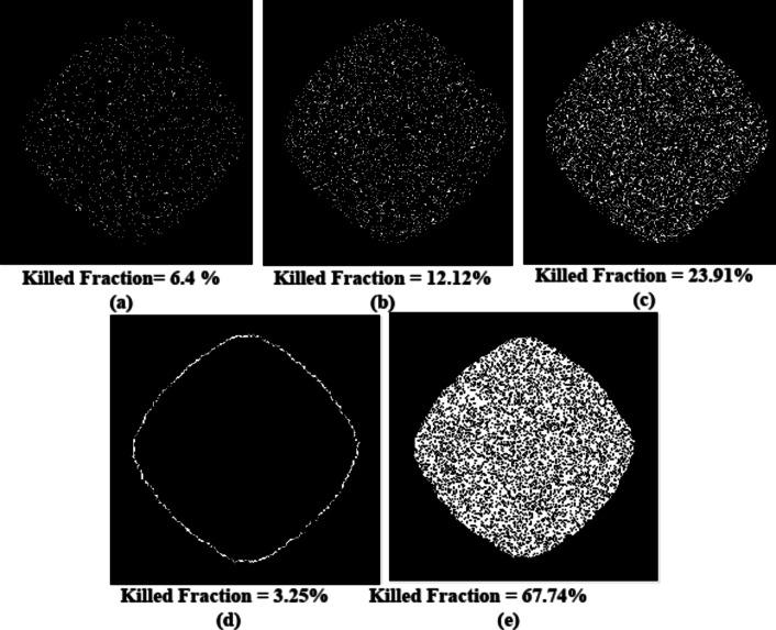 https://cdn.ncbi.nlm.nih.gov/pmc/blobs/4d3b/11696517/044dc181c85d/41598_2024_84766_Fig5_HTML.jpg