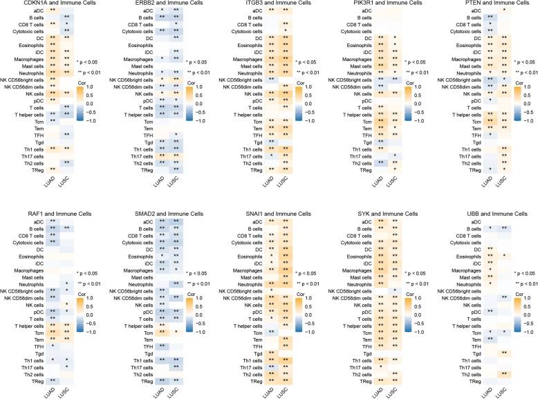 https://cdn.ncbi.nlm.nih.gov/pmc/blobs/4d3c/12090393/1a71be9eee07/12920_2025_2158_Fig12_HTML.jpg