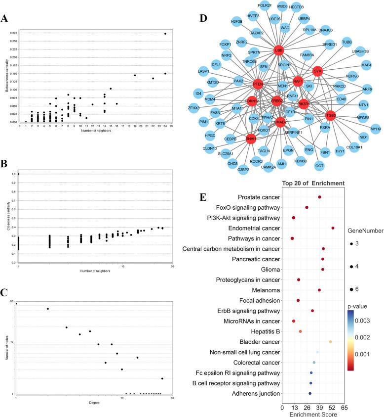 https://cdn.ncbi.nlm.nih.gov/pmc/blobs/4d3c/12090393/1bb4ac5a3c85/12920_2025_2158_Fig7_HTML.jpg