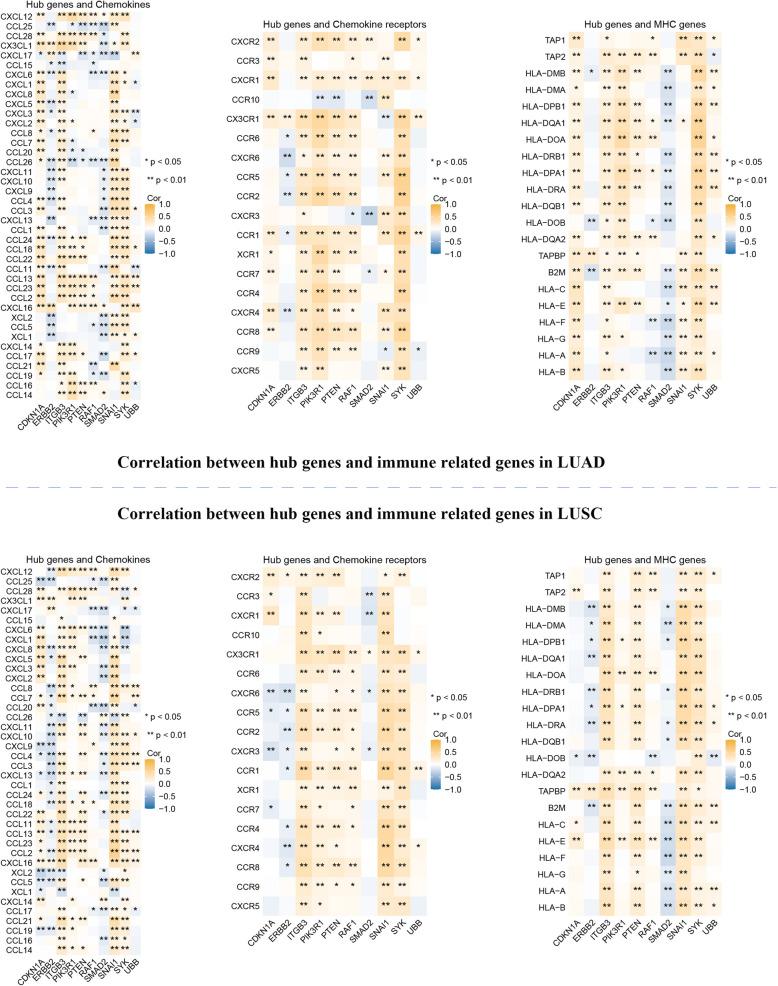 https://cdn.ncbi.nlm.nih.gov/pmc/blobs/4d3c/12090393/5295df05bbdb/12920_2025_2158_Fig15_HTML.jpg