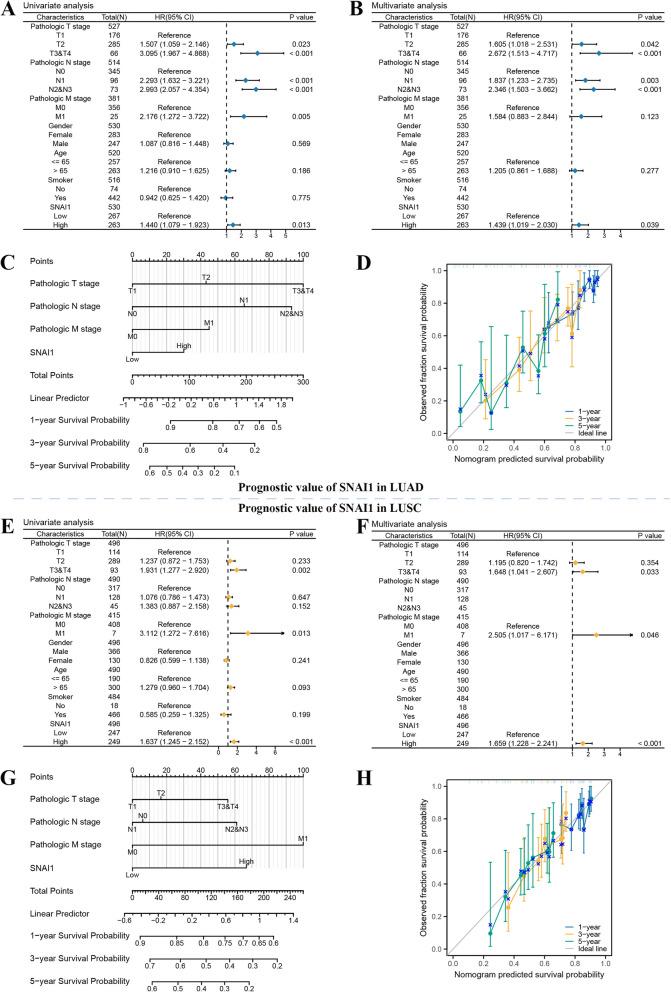 https://cdn.ncbi.nlm.nih.gov/pmc/blobs/4d3c/12090393/d80756f7a8e0/12920_2025_2158_Fig11_HTML.jpg