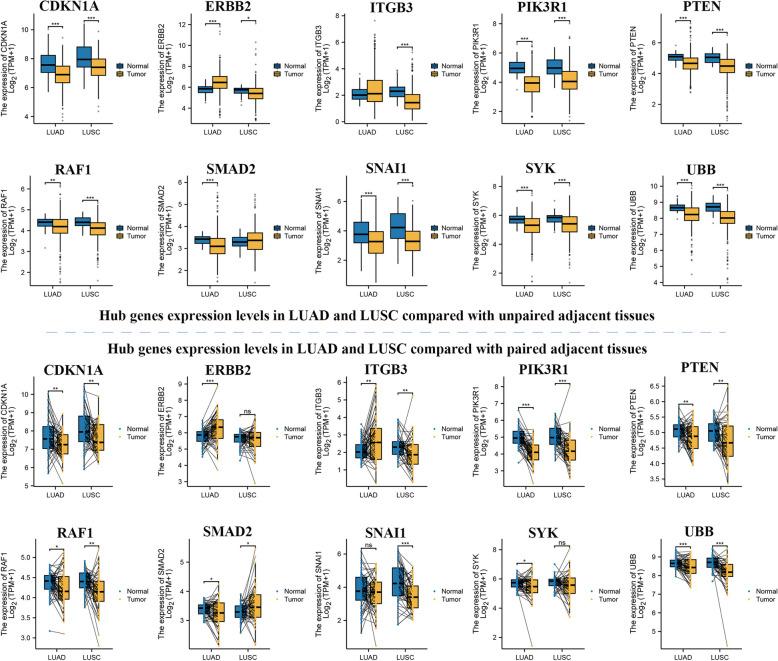 https://cdn.ncbi.nlm.nih.gov/pmc/blobs/4d3c/12090393/e3b1c8b2bebd/12920_2025_2158_Fig8_HTML.jpg